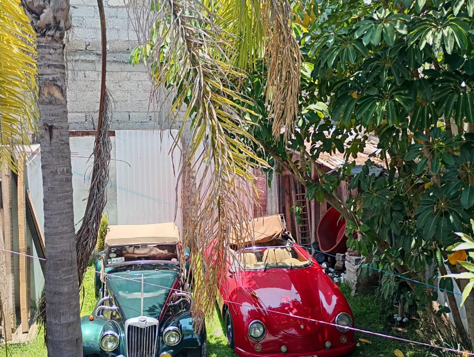 Vista frontal del MG verde